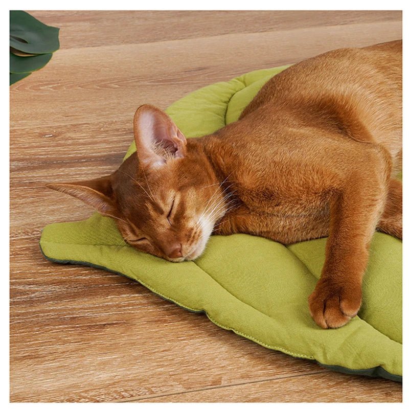 Tapis Chat | Confort Antidérapant - Le Bonheur du Chat