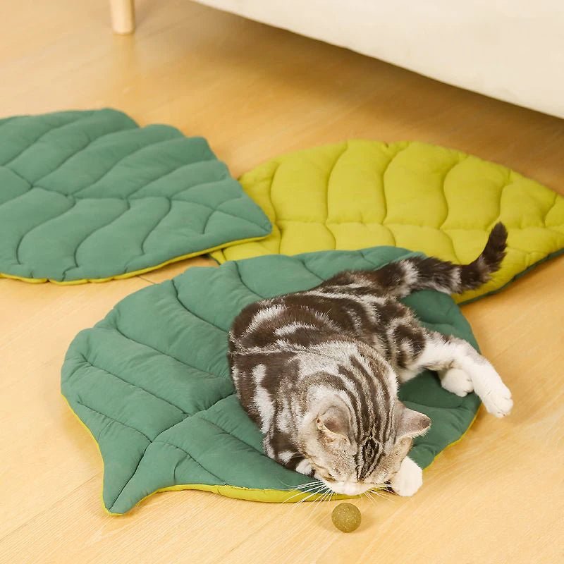 Tapis Chat | Confort Antidérapant - Le Bonheur du Chat