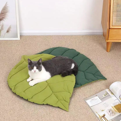 Tapis Chat | Confort Antidérapant - Le Bonheur du Chat
