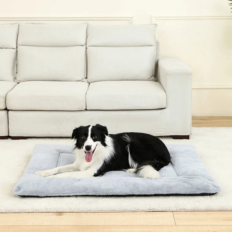 Tapis Chat | Confort Premium - Le Bonheur du Chat