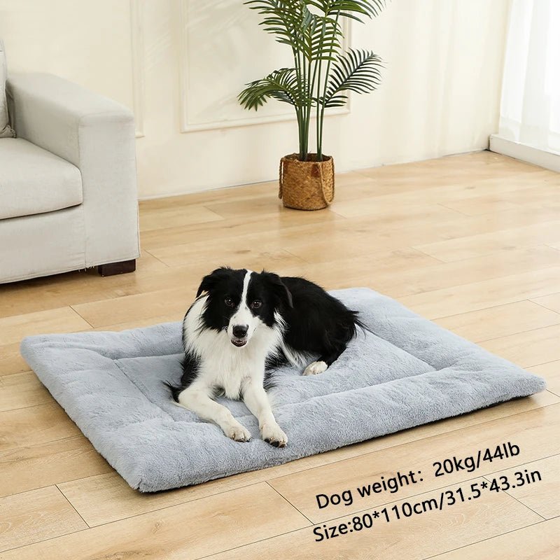 Tapis Chat | Confort Premium - Le Bonheur du Chat