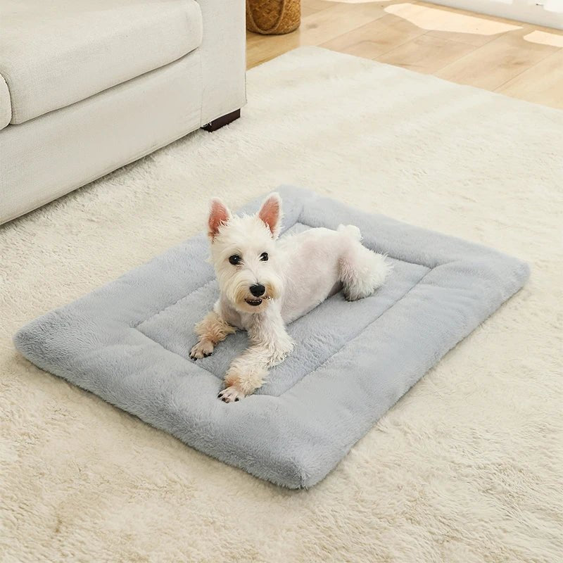 Tapis Chat | Confort Premium - Le Bonheur du Chat