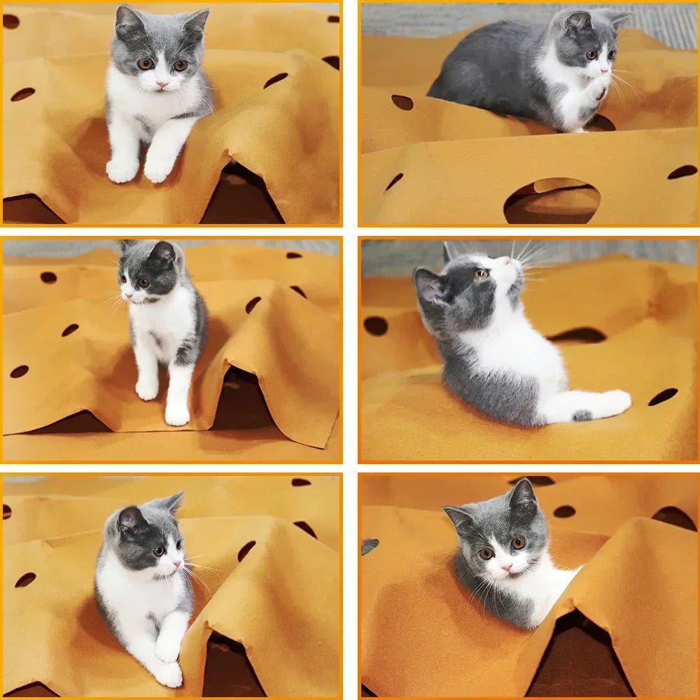 Tapis pour chat | Confort Optimal - Le Bonheur du Chat