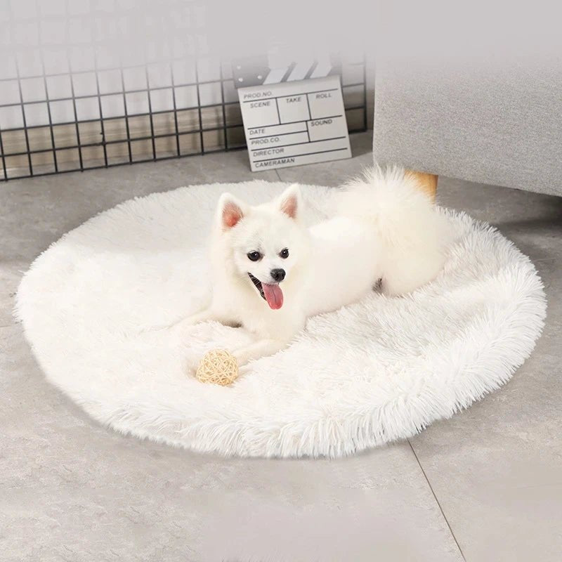 Tapis pour chat | Confort Premium - Le Bonheur du Chat
