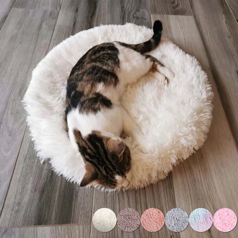 Tapis pour chat | Confort Premium - Le Bonheur du Chat