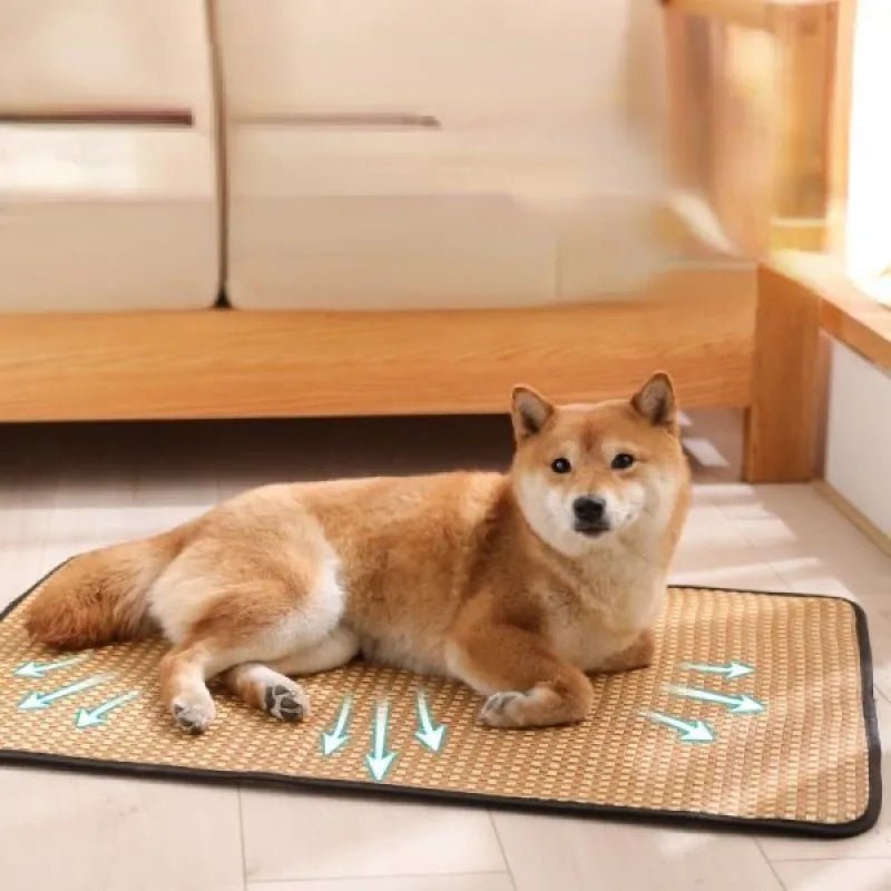 Tapis rafraichissant Chat | Auto-refroidissant - Le Bonheur du Chat