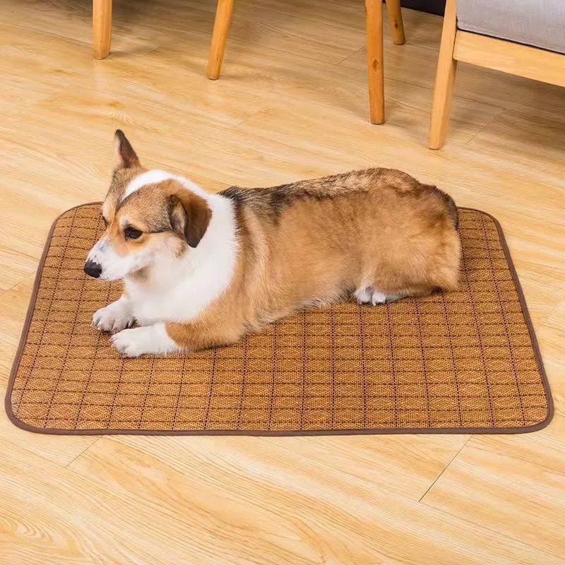 Tapis rafraichissant Chat | Auto-refroidissant - Le Bonheur du Chat