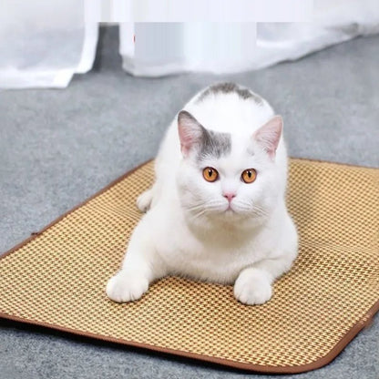 Tapis rafraichissant Chat | Auto-refroidissant - Le Bonheur du Chat