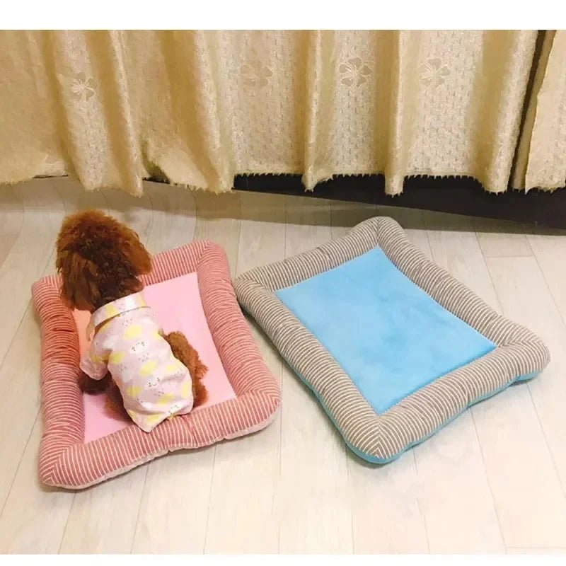 Tapis rafraichissant Chat | Gel Auto-Refroidissant - Le Bonheur du Chat